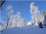 Planina pod Golico - Belska planina (Svečica)