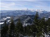 Planina pod Golico - Belska planina (Svečica)