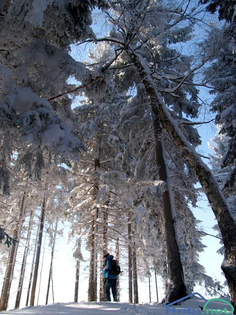 Sveža fotografija lepo zasneženega vrha