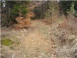 ...del poti z izrazito erozijo je za mano in še nekaj korakov na bolj prijazno pot skozi gozd...