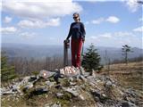 Veliki Drgomalj 1154m (Hrvaška) Veliki Drgomalj.