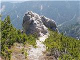 Pot v dolino Tople