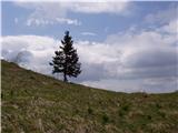 Klemenčevo - Kamniški vrh