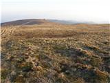 Planina Svinja / Saualpe (2079m) Z večernim soncem obsijana planina Svinja.