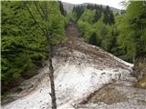 Planina pod Golico - Planina Možine