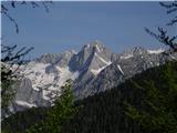 Kraljev hrib - Koritni vrh (Velika planina)