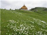 Planina Dovška Rožca