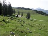 Veliko Kladivo (Košuta) Planina Pungrat.