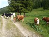 Dol-Konj-Presedljaj-Stare štale-Vodotočnik Planina Dol