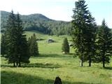 Dol-Konj-Presedljaj-Stare štale-Vodotočnik Planina Dol