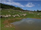 Planina Kosmačeve Rastke - Lanež