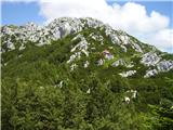 Vilje - Veliki Risnjak