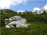 Vilje - Veliki Risnjak