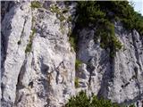 Krofička (2083m) Poškodovana jeklenica.