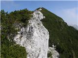 Prednje Robičje 1941m Pogled nazaj na Prednje Robičje.