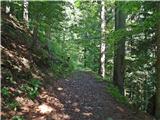 Solčava - Hribarska (Huda) zijalka
