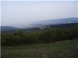Med Tinjanom in Sečovljami ...pogled na Tržaški zaliv...