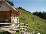 Planina Arta