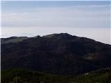 Konj Velika planina.