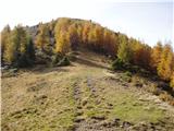 Dolinza Alm / Planina Dolnica - Sagranberg/Monte Sagran