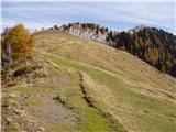 Planina Dolnica/Dolinza Alm - Starhand