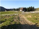 Mali Javornik (1685 m) Planina Javornik.