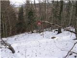 Hunting cottage Urška - Racna gora