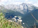 Cima Piccola del Pleros planike, vas Collina in Coglians s svojimi sosedi