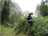 Cima Piccola del Pleros in okusne maline 