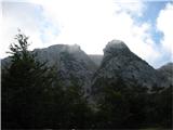 Bovški gamsovec