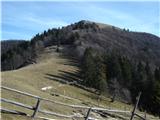 pogled proti vrhu