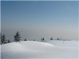 zameti snega na vrhu Smrekovca