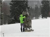 še dobro da je lesen ta medved