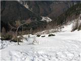 Veliki snežni vrh - Cima Mogenza Grande (1973) daleč so prodi v dolini