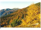 Zlata jesen pod Raduho s pogledom na Veliki vrh