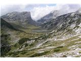 Korošica